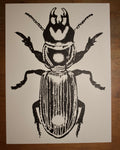 BEETLE Print