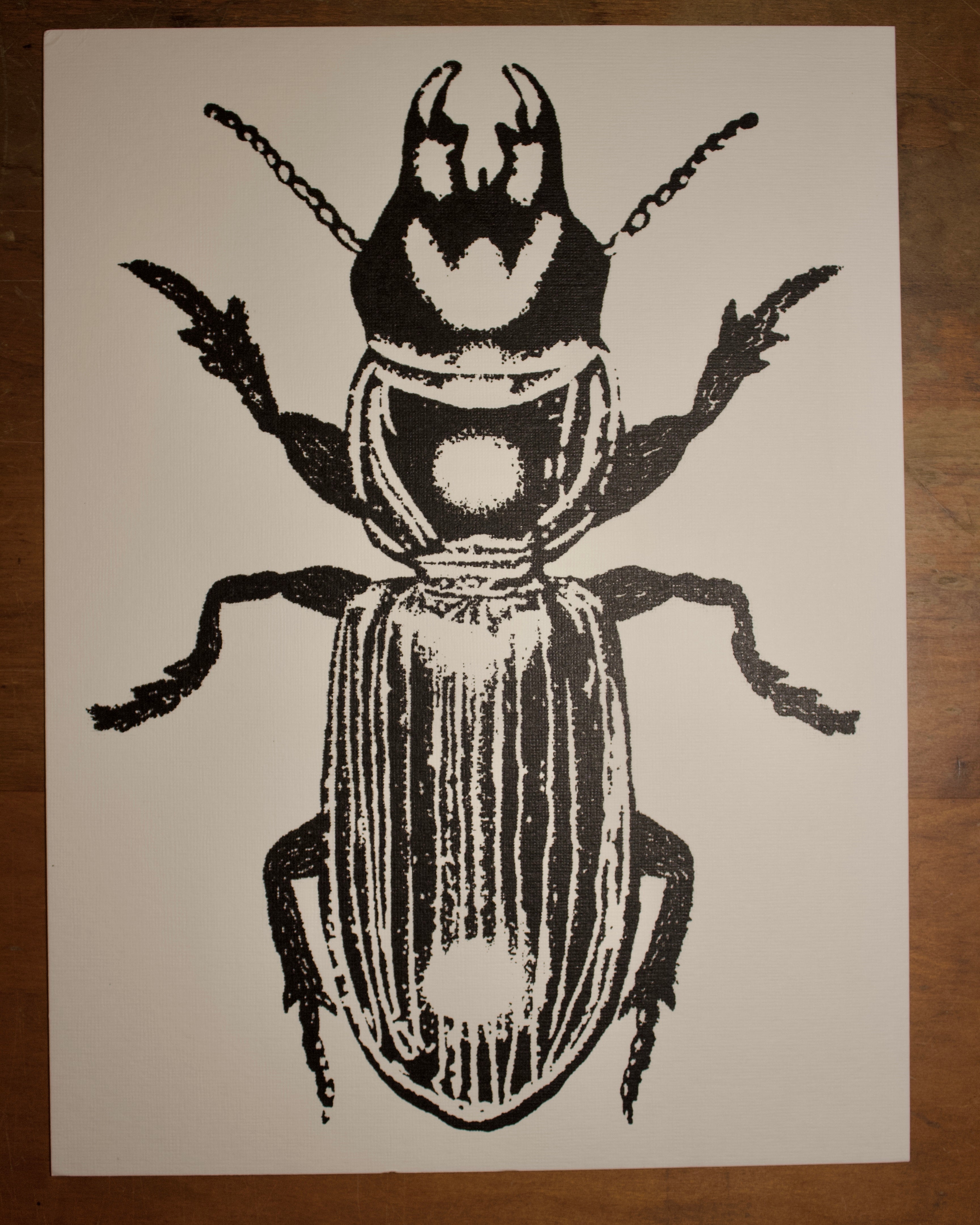 BEETLE Print