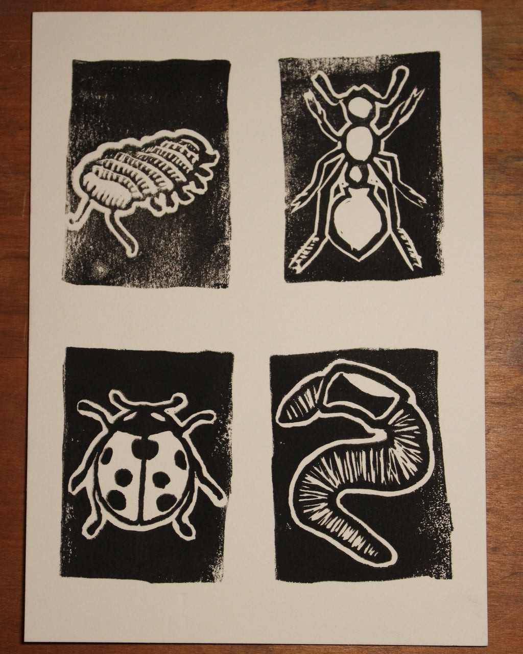 Bugs from Childhood Print