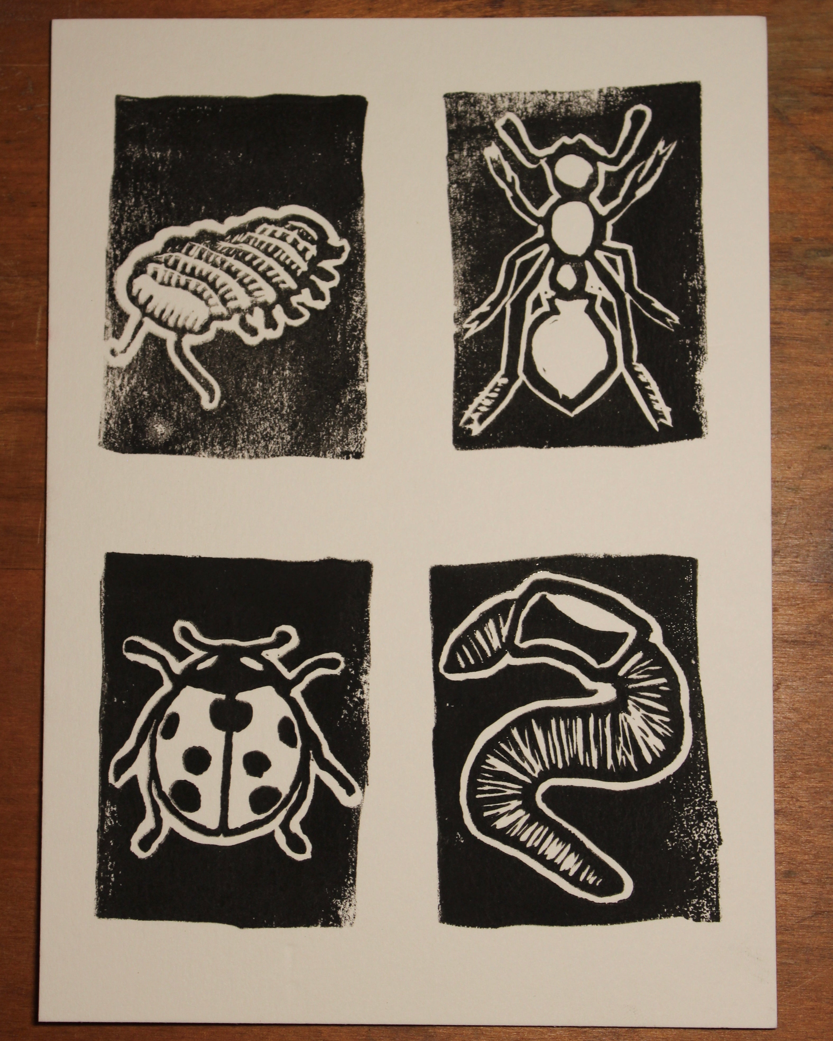 Bugs from Childhood Print