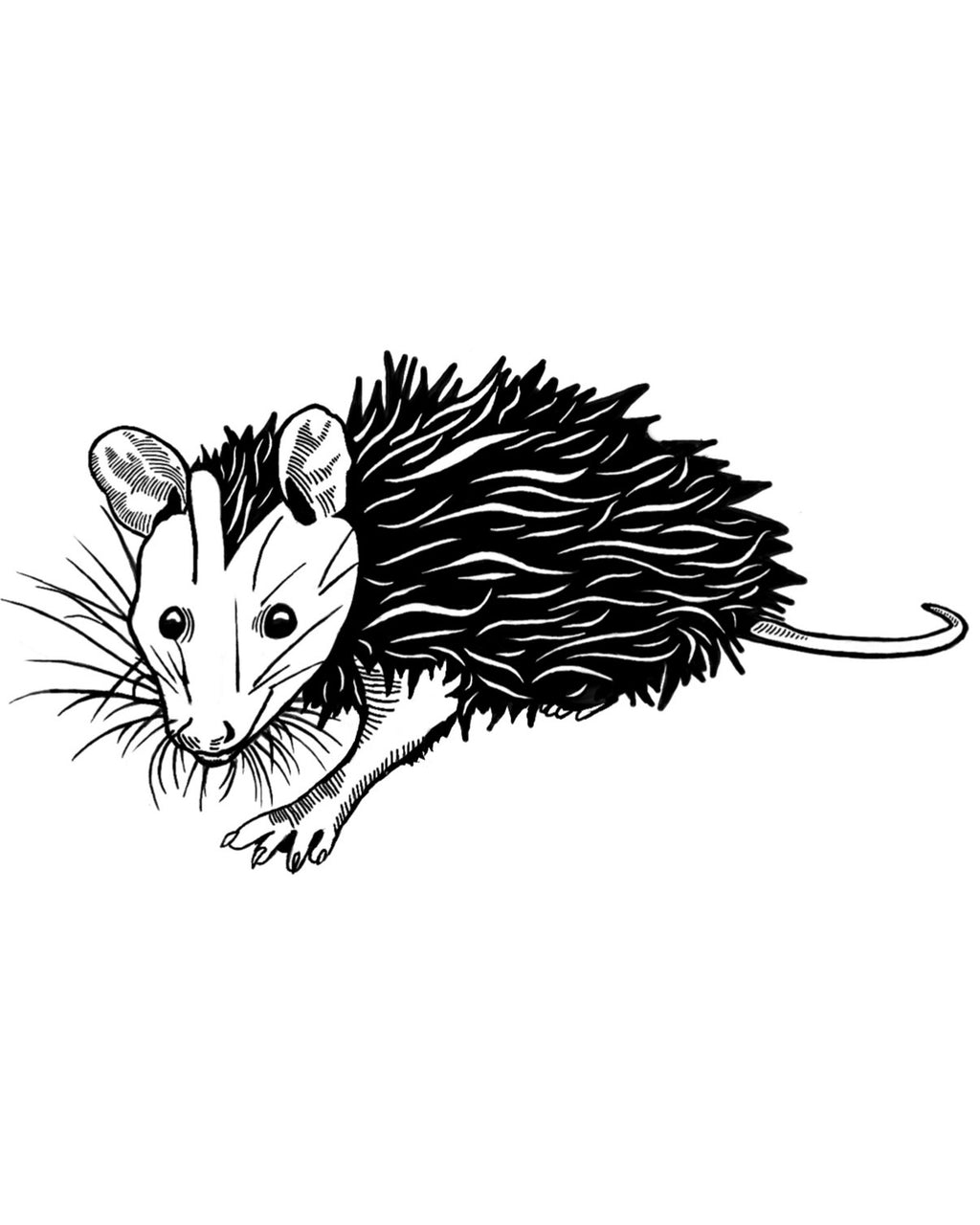 Opossum Sticker