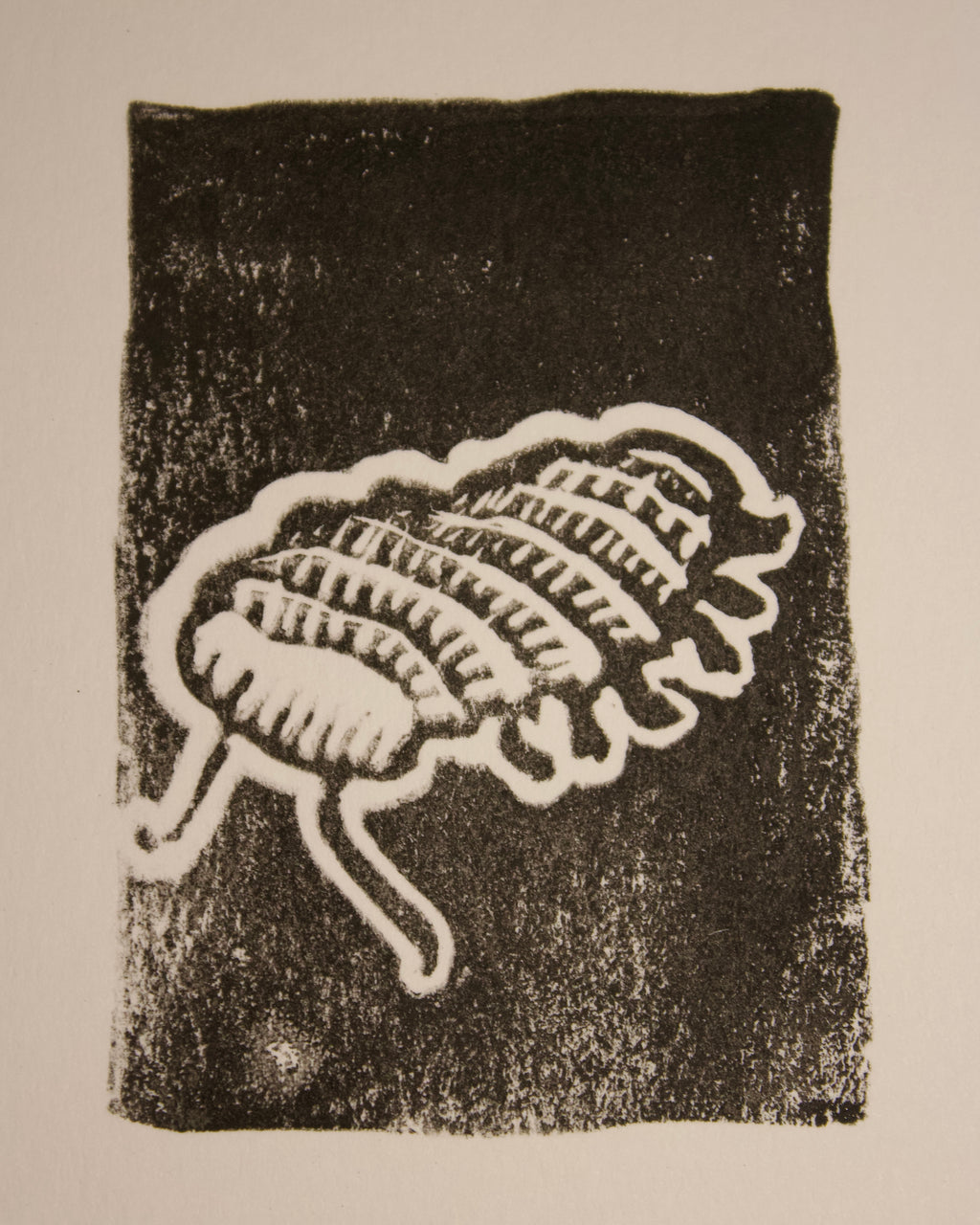 Bugs from Childhood Print
