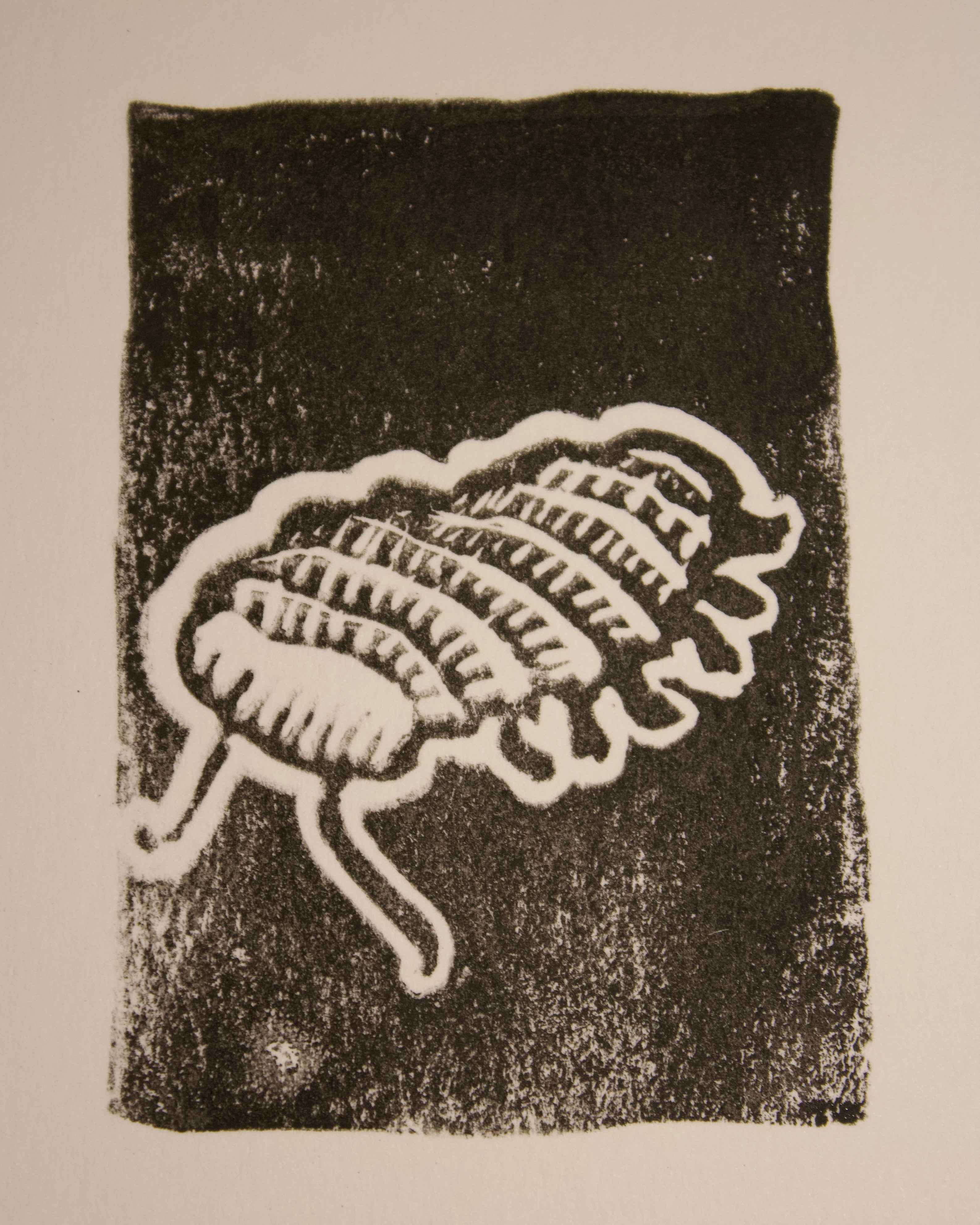 Bugs from Childhood Print